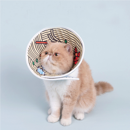 Pet Funny Instant Noodles Elizabeth Circle Anti-Bite Neck Cone Recovery PurLab
