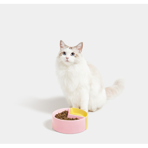 VETRESKA Grapefruit Ceramic Pet Bowl Food Water Dog Cat Puppy Round Dish Feeder