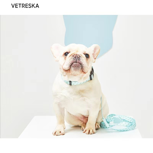 Pet Dog Cat Collar Leash Set Adjustable 2 Colors Vetreska