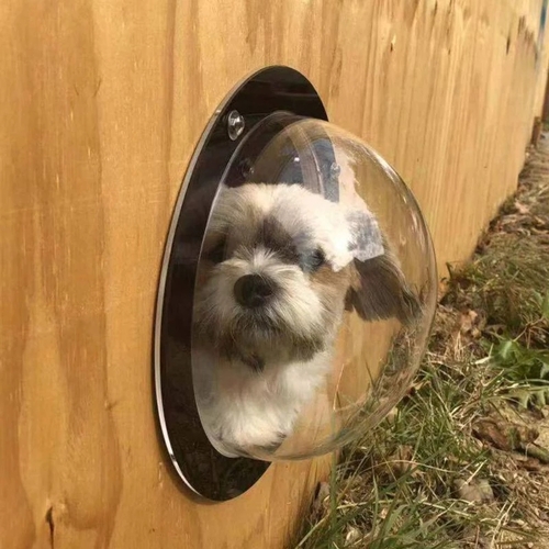 Durable Pet Dog Fence Window Cats Dogs Peek Bubble Dome Window XL Transparent